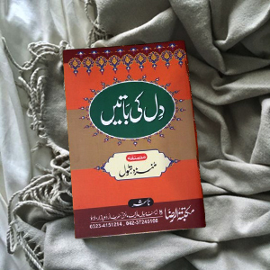 Dill ki Batyn