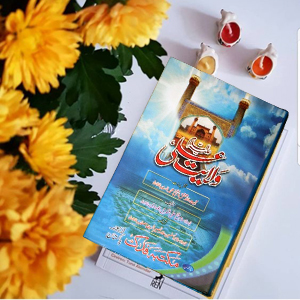 Wilayat a Ali(a.s)