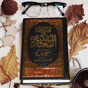 Al Safina tul Bhaar