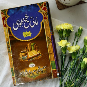 Amali Shiekh Tusi