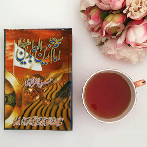 Seerat Imam Zain ul Abideen